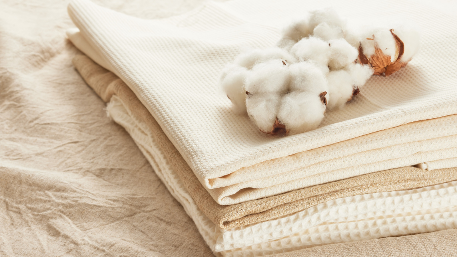 What Makes Cotton Muffins Unique?